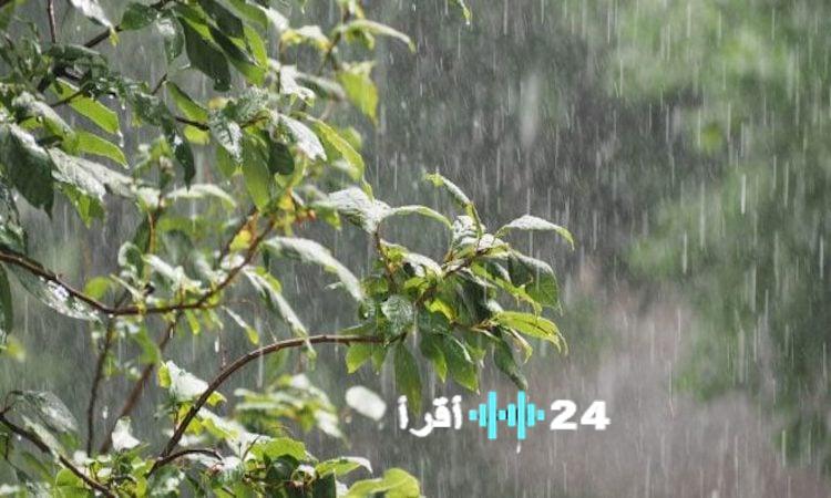 توقعات الطقس في العراق تتضمن هطول أمطار متوسطة إلى غزيرة في معظم المناطق