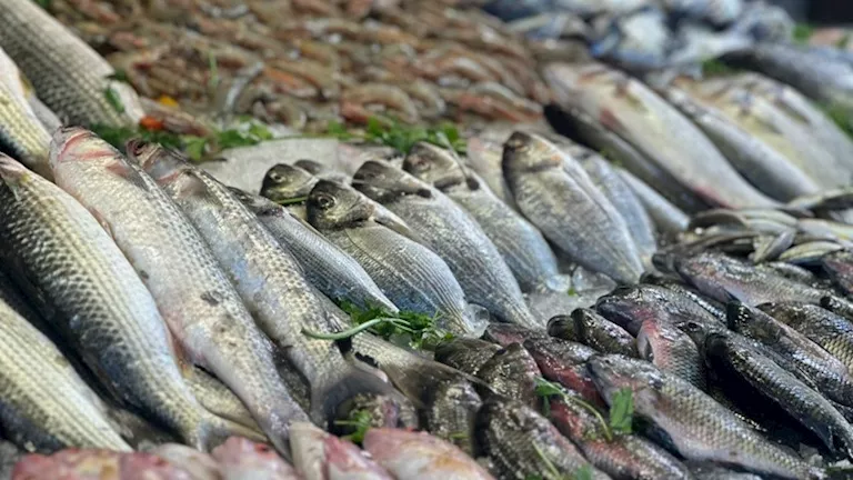 أسعار الأسماك في سوق العبور خلال ثاني أيام عيد الفطر 2026