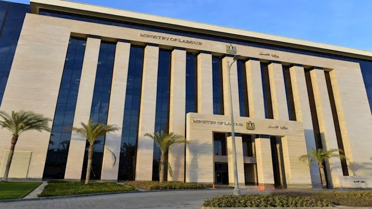 2289 وظيفة توفرها جهود مشتركة بين القطاع الخاص والمحافظات في مصر