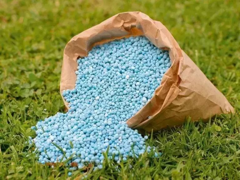 «أسعار اليوريا تصعد عالميًا مع استمرار النزاع الأمريكي الإيراني»