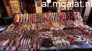 أسعار الأسماك في مطروح اليوم الأحد 22 مارس 2026 تونة بسعر 200 جنيه