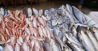 أسعار السمك في أسواق الإسكندرية اليوم الأربعاء 18 مارس 2026