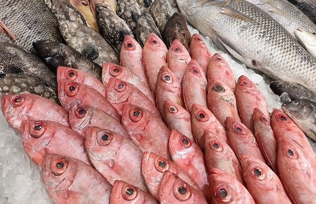 أسعار السمك والجمبري اليوم السبت 21 مارس 2026 في الأسواق البوري بـ 280 جنيهًا للأسبوع