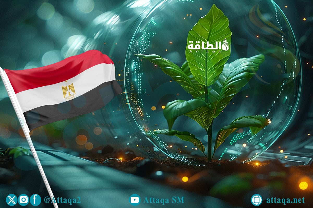 مستقبل الطاقة الحيوية في مصر بين القدرات المحدودة وخطط التوسع حتى عام 2040
