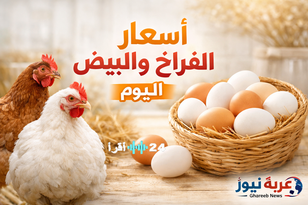 «تعرف على أسعار الفراخ والبيض اليوم: استقرار حذر قبل تغييرات مرتقبة في الأسواق»