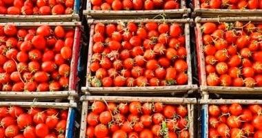أسعار الطماطم والخضروات والفواكه في أسوان اليوم الإثنين 23 مارس 2026 مع توقعات الارتفاعات القادمة