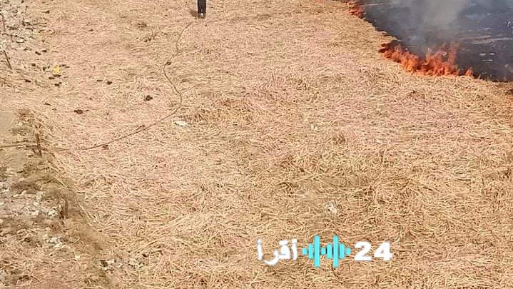 أخبار قنا اعتماد تحديث الحيز العمراني لقرية الشيخ عيسى وإزالة 33 حالة تعد خلال إجازة العيد بهدف تنظيم التخطيط العمراني ومواجهة التعديات