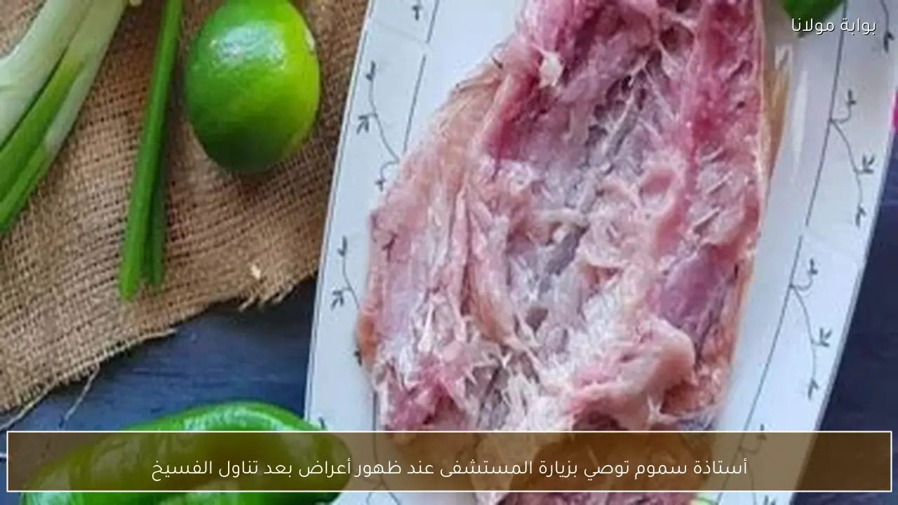 أستاذة سموم تحذر من ضرورة زيارة المستشفى فور ظهور أعراض تسمم بعد تناول الفسيخ لضمان السلامة والصحة