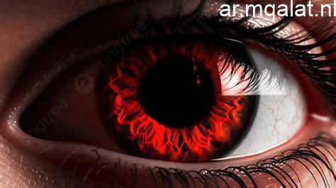 العيون الحمراء تطارد محتكرين الخبز وضربة أمنية قاصمة لمتلاعبى أسعار الرغيف