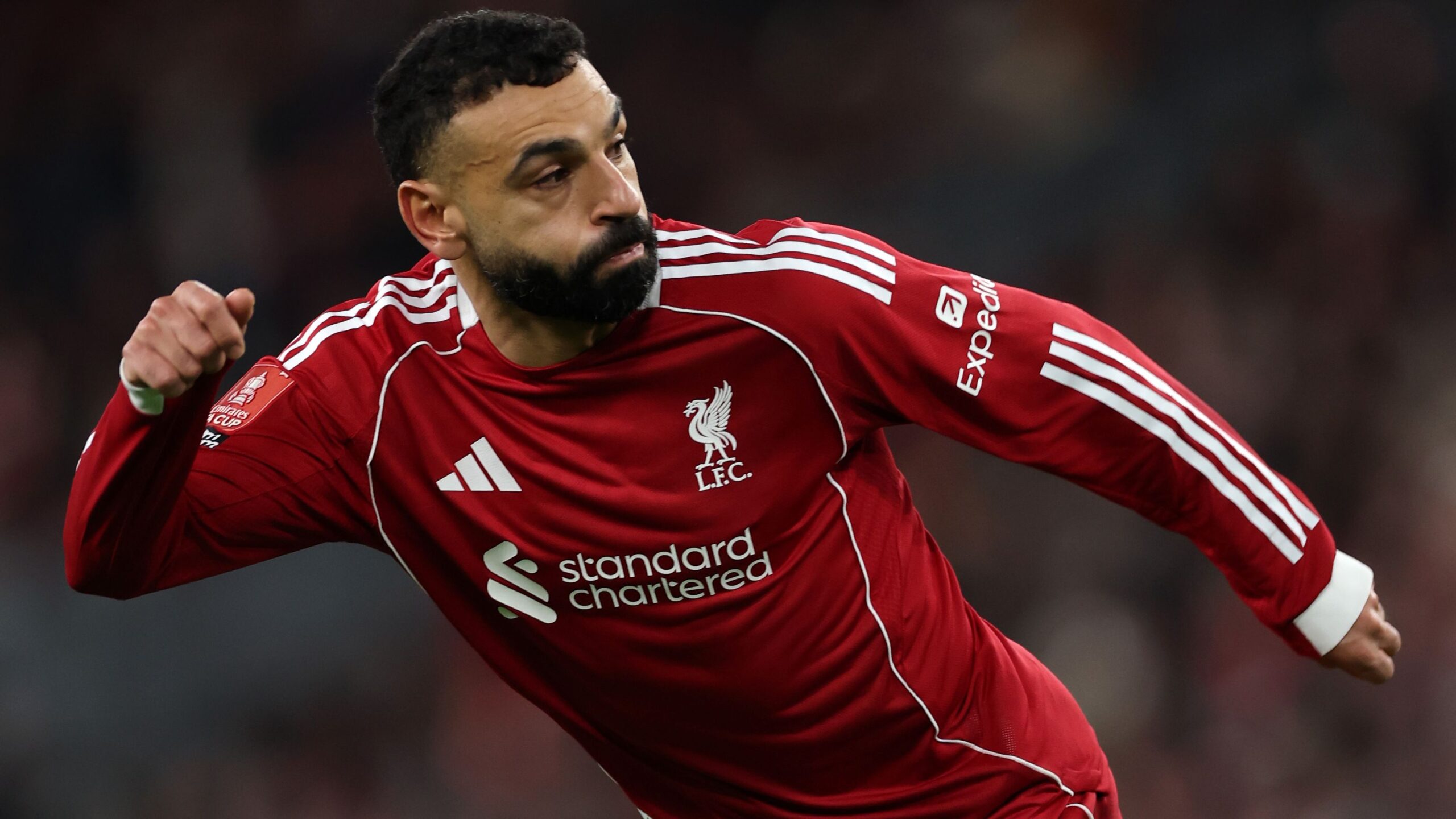 القنوات الناقلة لمباراة برايتون وليفربول في الدوري الإنجليزي 2025-2026 وكيفية مشاهدتها عبر الإنترنت