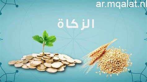 بر أبها يوزع زكاة الفطر على أكثر من ثلاث آلاف وثلاثمائة أسرة مستفيدة