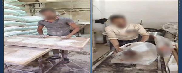 ضبط 15 طن دقيق مجهول المصدر في حملة تموينية واسعة قبل تسويقه في السوق السوداء