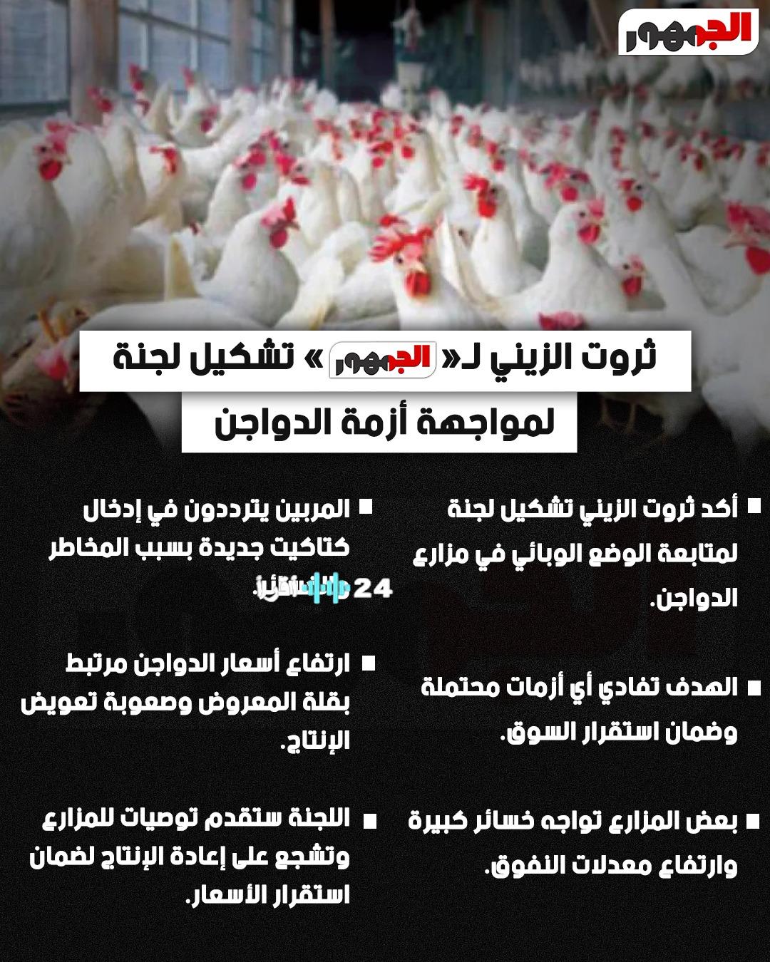 تشكيل لجنة لمواجهة ارتفاع أسعار الدواجن وأزمة توفرها