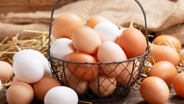 سعر كرتونة البيض اليوم الخميس يتراجع 15 جنيهاً في بورصة الدواجن