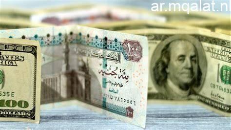 استقرار سعر الدولار مقابل الجنيه اليوم الخميس 21 مايو 2026
ثبات أسعار صرف الدولار أمام الجنيه المصري بتداولات الخميس 21 مايو 2026
سعر الدولار مقابل الجنيه يحافظ على استقراره اليوم الخميس 21 مايو 2026