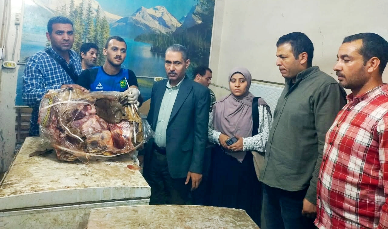ضبط 3 أطنان لحوم ودواجن وأسماك غير صالحة للاستهلاك بمركز منفلوط في أسيوط