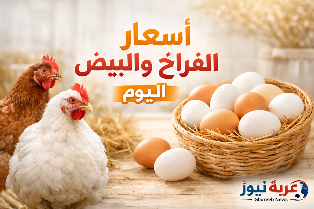 شوف وصلت كام.. أسعار الفراخ والبيض اليوم الثلاثاء 19 مايو 2026 بعد الزيادة الجديدة