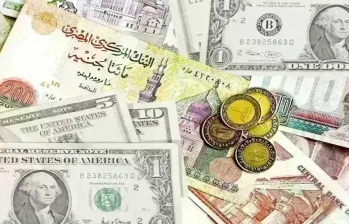 آخر تحديث لأسعار العملات الأجنبية في البنوك اليوم الثلاثاء 19 مايو 2026