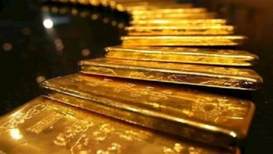 آي صاغة: الذهب يتراجع 60 جنيها محليا خلال الأسبوع الماضي