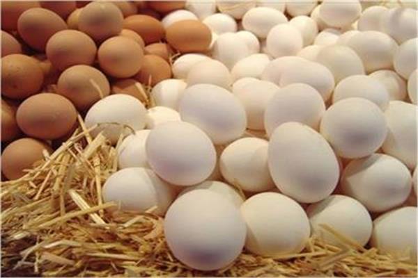 أسعار البيض اليوم الجمعة 22 مايو 2026 بمختلف الأنواع في الأسواق