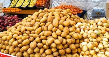 أسعار الخضروات والفاكهة اليوم الثلاثاء 26 مايو 2026 فى المنوفية