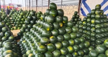 أسعار الفاكهة في أسواق الأقصر اليوم الخميس 21 مايو 2026 والبطيخ يسجل 25 جنيهاً