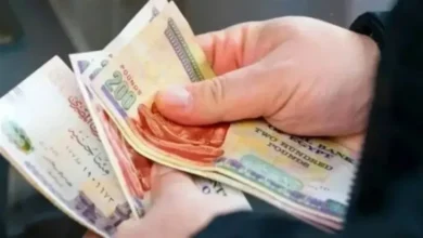أعلى عائد في البنوك المصرية الآن.. شهادات تصل إلى 19.5%