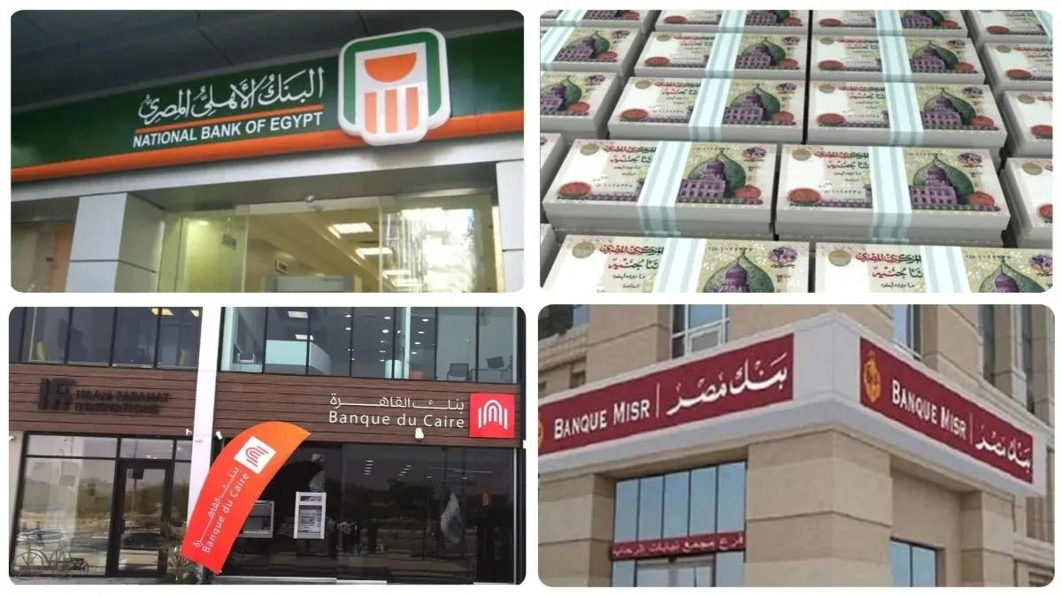 أفضل وجهات الاستثمار لتحقيق أعلى عوائد بعد قرار البنك المركزي
