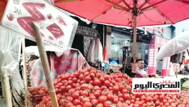 الطماطم بـ 38 جنيها.. أسعار الخضروات آخر أيام عيد الأضحى السبت 30 مايو 2026
