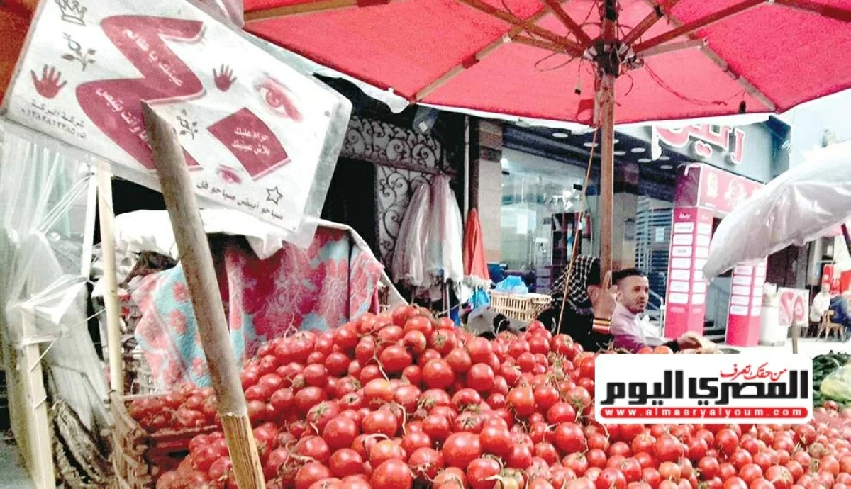 الطماطم بـ 38 جنيها.. أسعار الخضروات آخر أيام عيد الأضحى السبت 30 مايو 2026