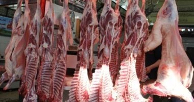 اللحمة بكام؟.. أسعار اللحوم بكفر الشيخ الثلاثاء 19 مايو 2026