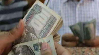 بشرى للموظفين.. زيادة المرتبات في هذا الموعد ورفع الحد الأدنى للأجور إلى 8 آلاف جنيه