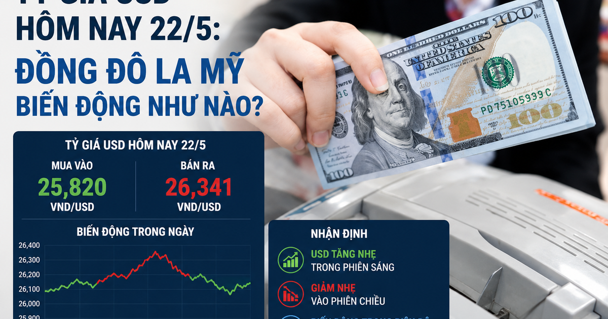 تطورات سعر الدولار الأمريكي اليوم 22 مايو وأسباب تذبذبه في الأسواق