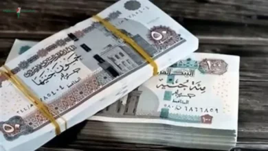 تفاصيل زيادة المرتبات في يوليو 2026 وجدول الحد الأدنى للأجور لكافة الدرجات الوظيفية بالدولة