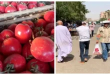 حالة الطقس خلال الأيام المقبلة.. وأسعار الطماطم في المجمعات الاستهلاكي