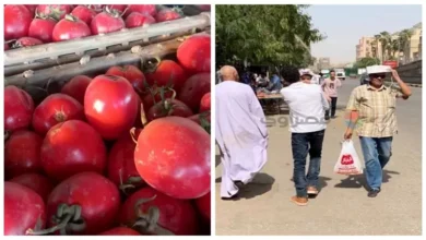 حالة الطقس خلال الأيام المقبلة.. وأسعار الطماطم في المجمعات الاستهلاكي