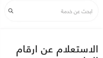 رابط أرقام جلوس الثانوية العامة 2026.. اعرف موعد إعلانها وخطوات الاستعلام الإلكتروني