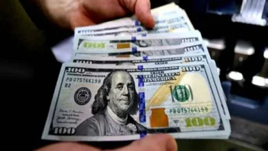 سعر الدولار مقابل الجنيه المصري اليوم بالتزامن مع إجازة عيد الأضحى المبارك