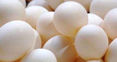 سعر طبق البيض بالقليوبية اليوم الثلاثاء 19 – 5 – 2026.. الأبيض بـ107 جنيهات