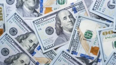 عند 53 جنيها.. تعرف على سعر الدولار في البنك الأهلي المصري اليوم