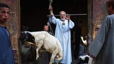 من الجزار إلى المجمد.. رحلة المصريين الشاقة مع أسعار اللحوم