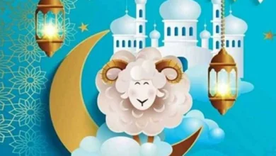 موعد انتهاء إجازة عيد الأضحى 2026 وعدد أيام العطلة المتبقية (رسميًا)