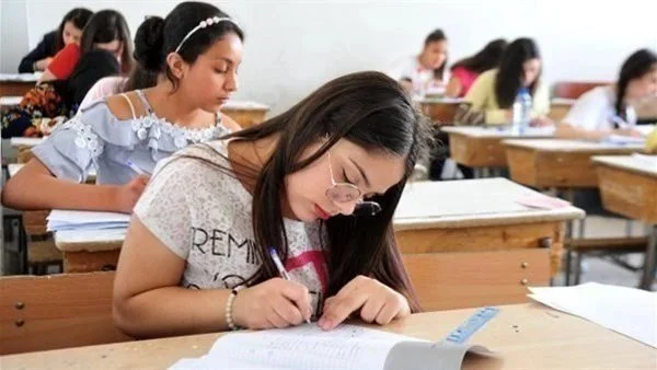 موعد ظهور نتيجة صفوف النقل 2026 ورابط الاستعلام الرسمي