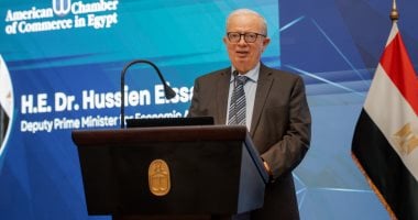 نائب رئيس الوزراء: لن نرفع أسعار الطاقة العام الحالى ونأمل عدم زيادتها مستقبلا