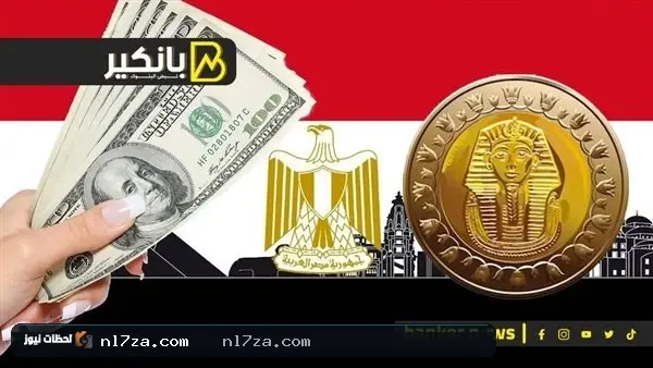استقرار سعر الدولار أمام الجنيه المصري في تعاملات البنوك اليوم