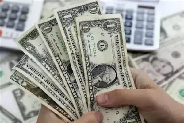 استقرار سعر الدولار مقابل الجنيه المصري اليوم السبت 25 يوليو 2026