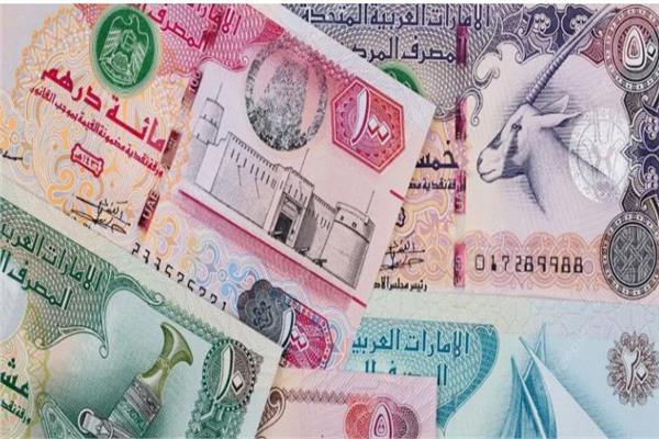 صعود جماعي لأسعار العملات العربية في ختام تداولات 29 يوليو 2026