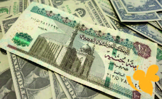 تطورات جديدة في سعر صرف الدولار مقابل الجنيه المصري اليوم 24 يوليو
