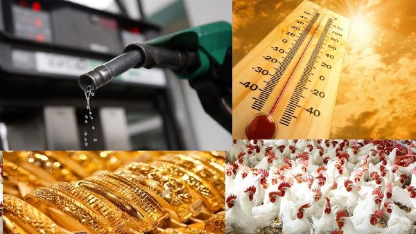 أسعار البنزين والسولار ومفاجآت الذهب والدولار مع تحديثات حالة الطقس