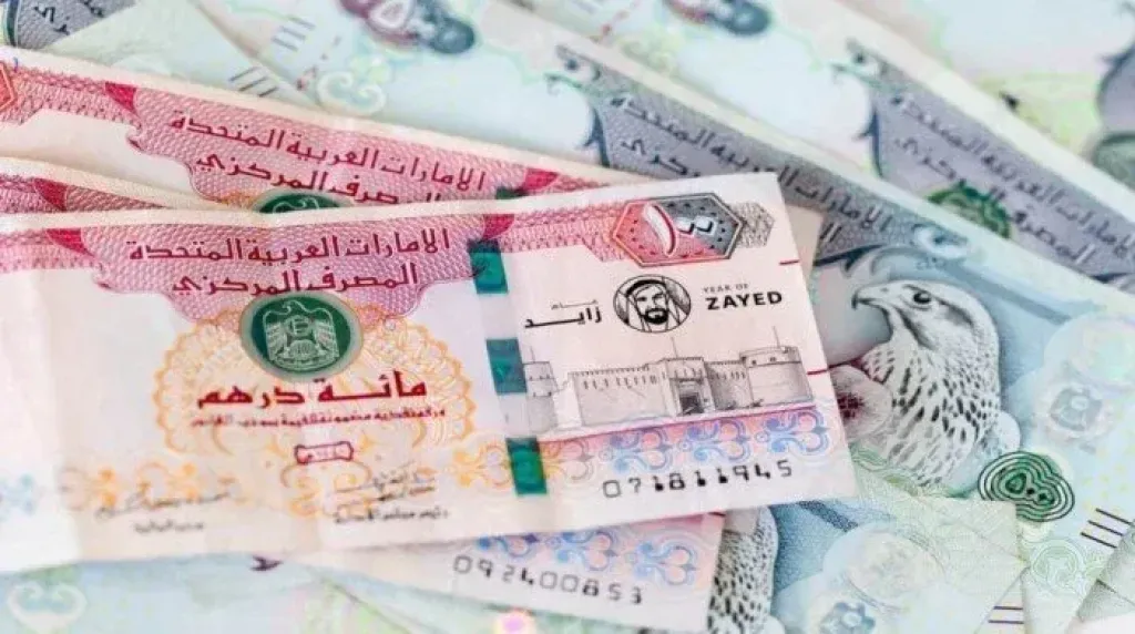 تراجع طفيف لسعر الدرهم الإماراتي مقابل الجنيه المصري في تعاملات الجمعة
سعر الدرهم الإماراتي يسجل تراجعاً طفيفاً أمام الجنيه المصري اليوم الجمعة
هبوط طفيف في سعر صرف الدرهم الإماراتي مقابل الجنيه المصري اليوم الجمعة